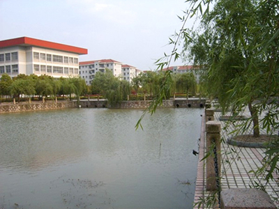 杭州国际高中及招生要求一览