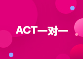 ACT一对一