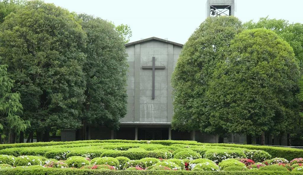 国际基督教大学 国际基督教大学