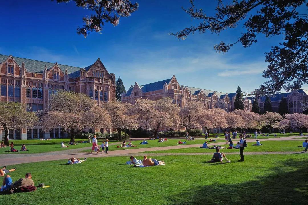 华盛顿大学西雅图分校