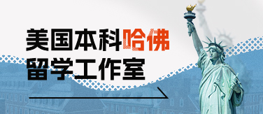 美国本科哈佛工作室