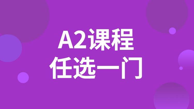A2一门课