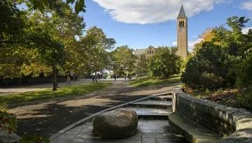 康奈尔大学 康奈尔大学