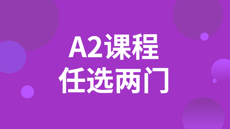 A2两门课