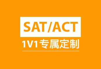 SAT/ACT 1对1VIP