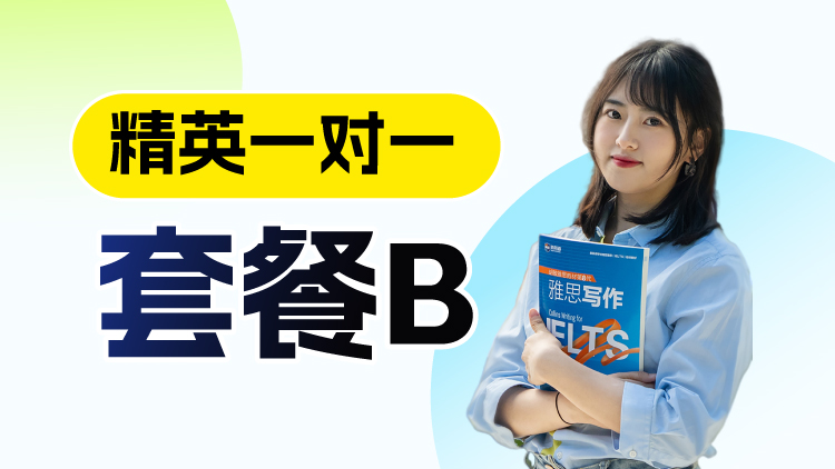 精英一对一套餐B