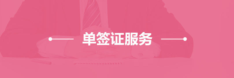 美加英澳签证服务